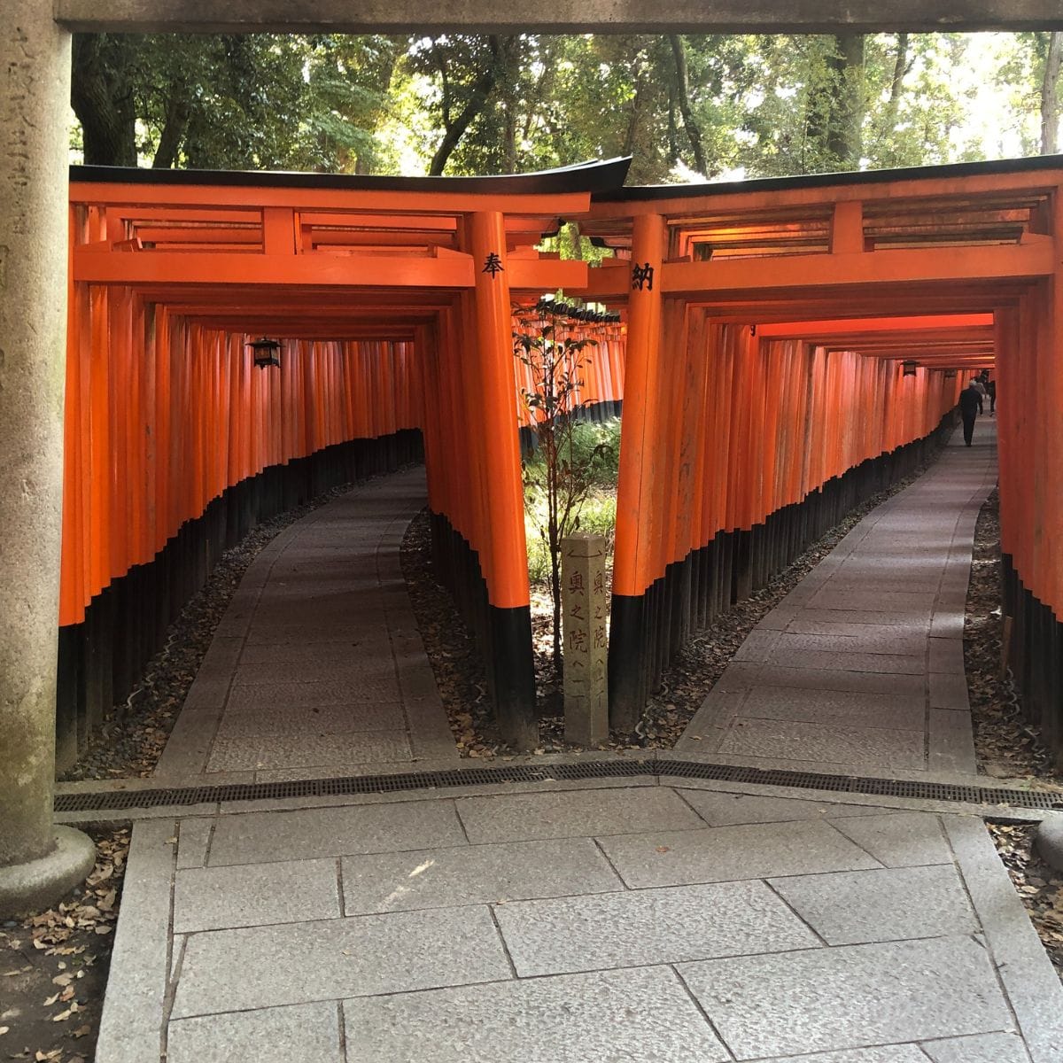 Senban Torii
