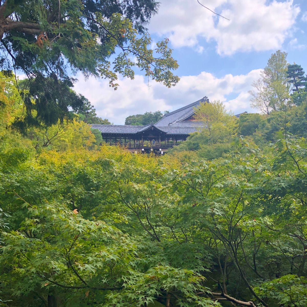 Tofukuji Temple