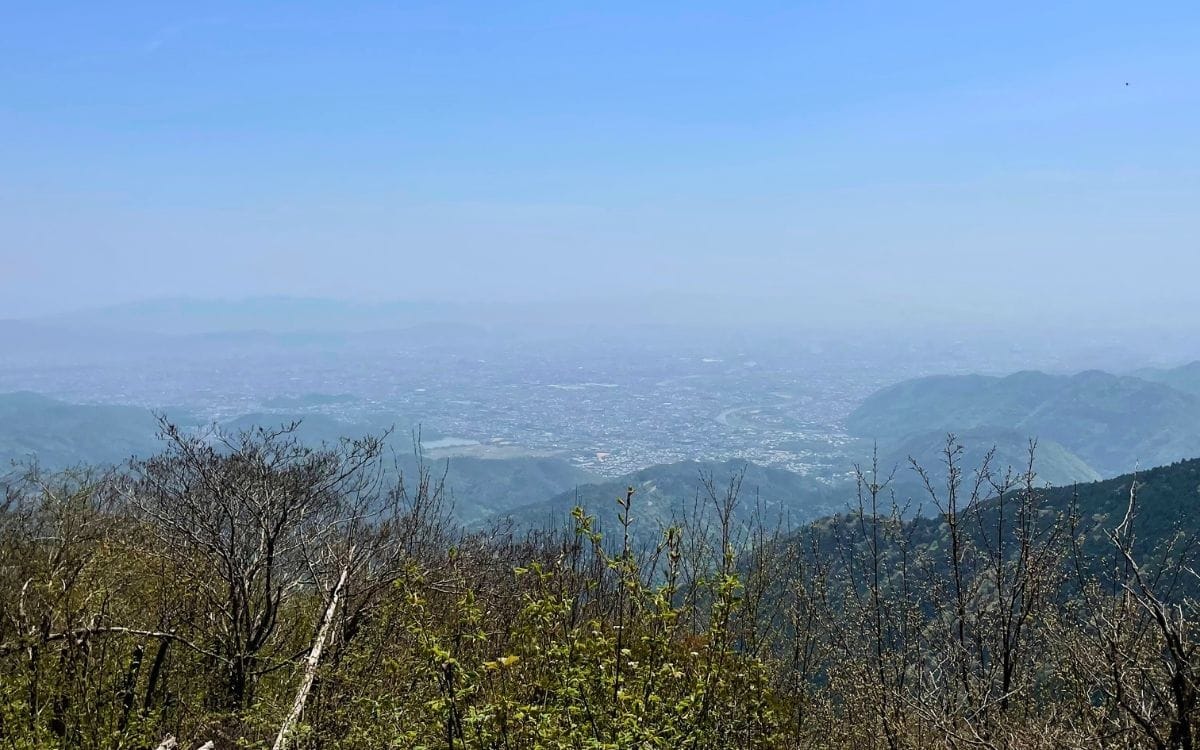 Mt. Atago(愛宕山): Kyoto’s Scenic Spring Hike via Tsukinowadera(月輪寺)
