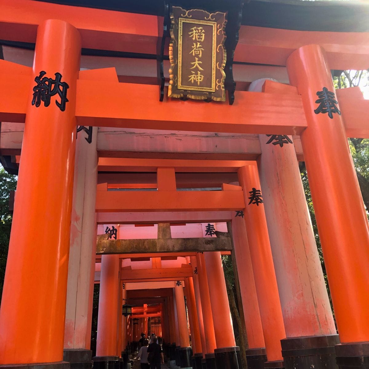 Fushimi Inari to Tofuku-ji Hike – Quiet Kyoto Trail from Shrine to Temple
