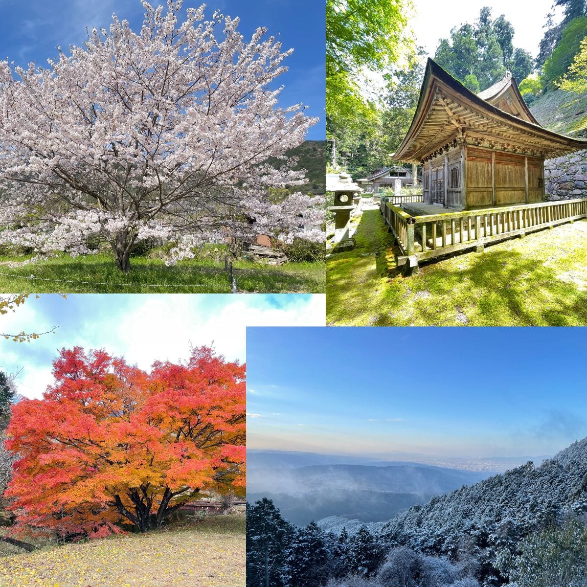Best Hikes in Kyoto – Seasonal & Difficulty Guide