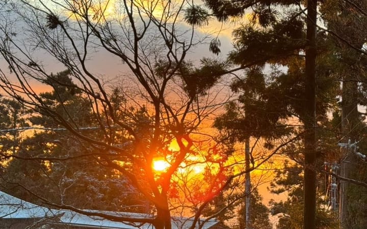 Brand New Sunrise 2025